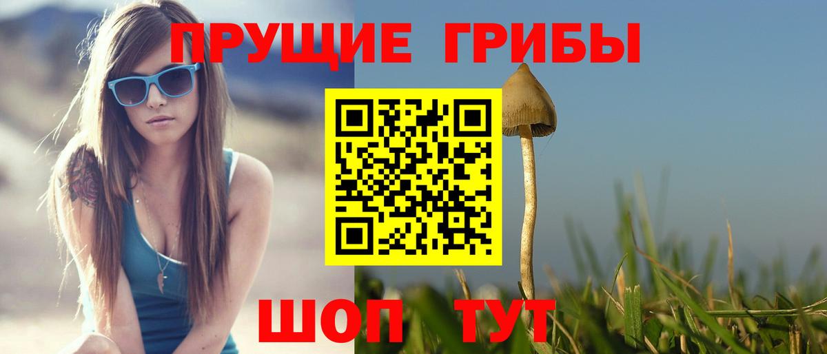 Псилоцибиновые грибы ЛСД  Вход с VPN  Лесозаводск 